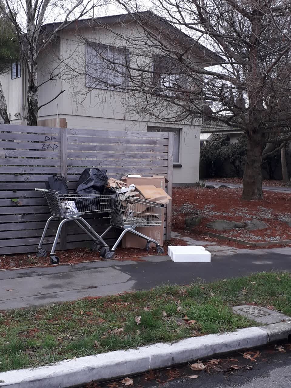 The photograph attached to this rubbish/recycling report