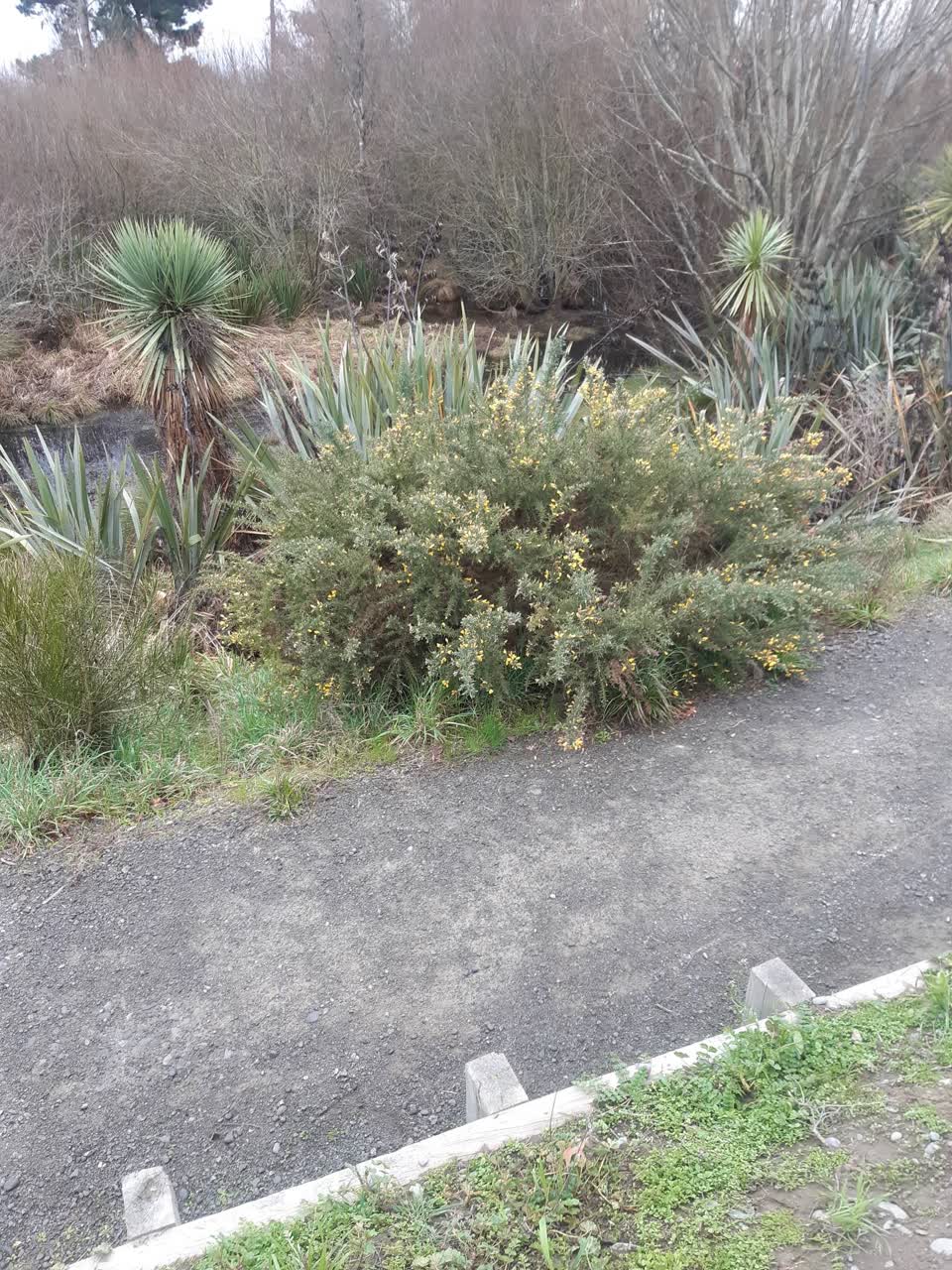 The photograph attached to this parks report