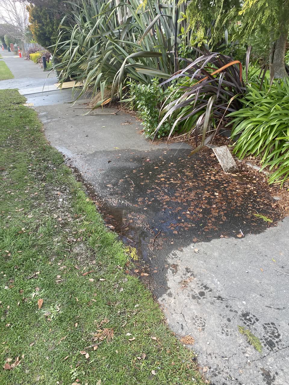 The photograph attached to this water supply report