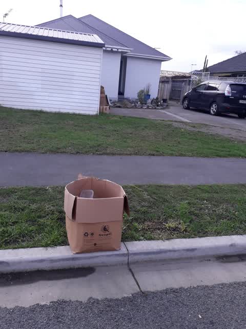 Rubbish/Recycling, a report photo