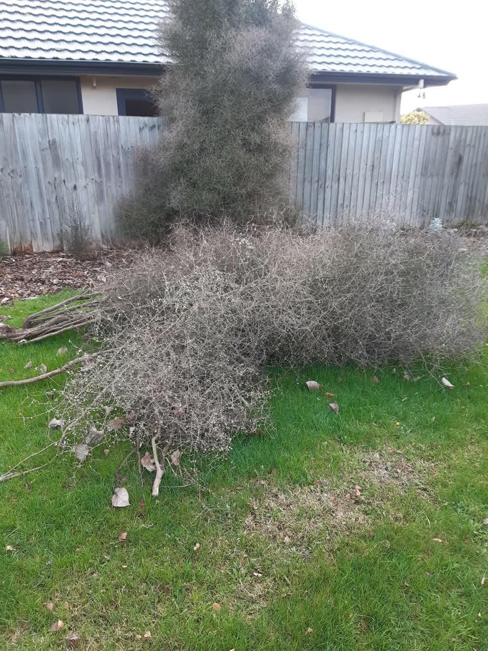 The photograph attached to this parks report