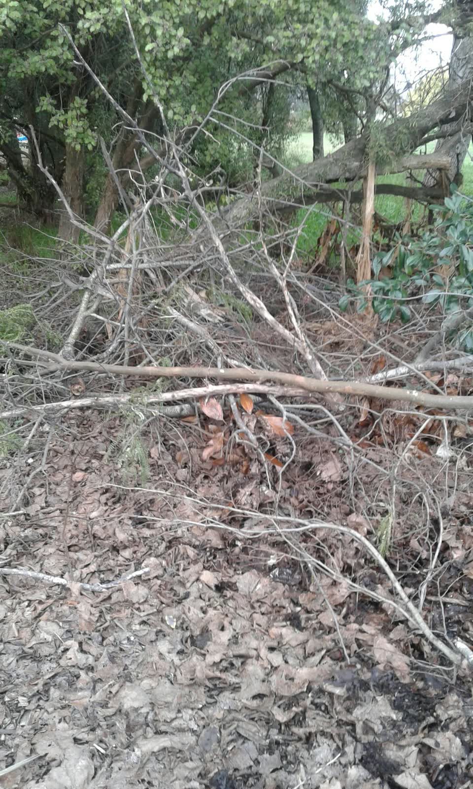 The photograph attached to this parks report
