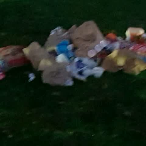 Rubbish/Recycling — a report photo