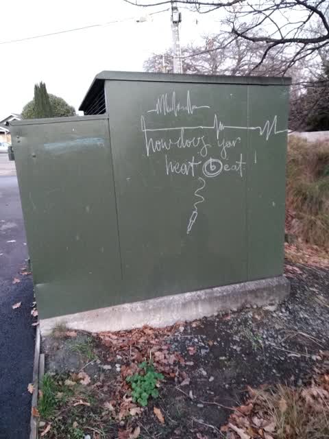 Graffiti, a report photo
