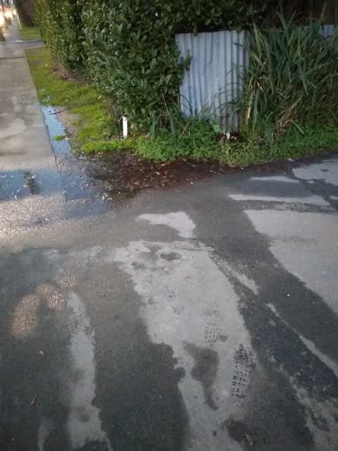 Water Leak, a report photo