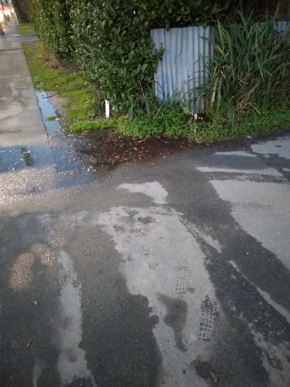The photograph attached to this water leak report