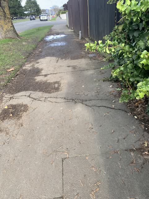 Roading/Streets, a report photo