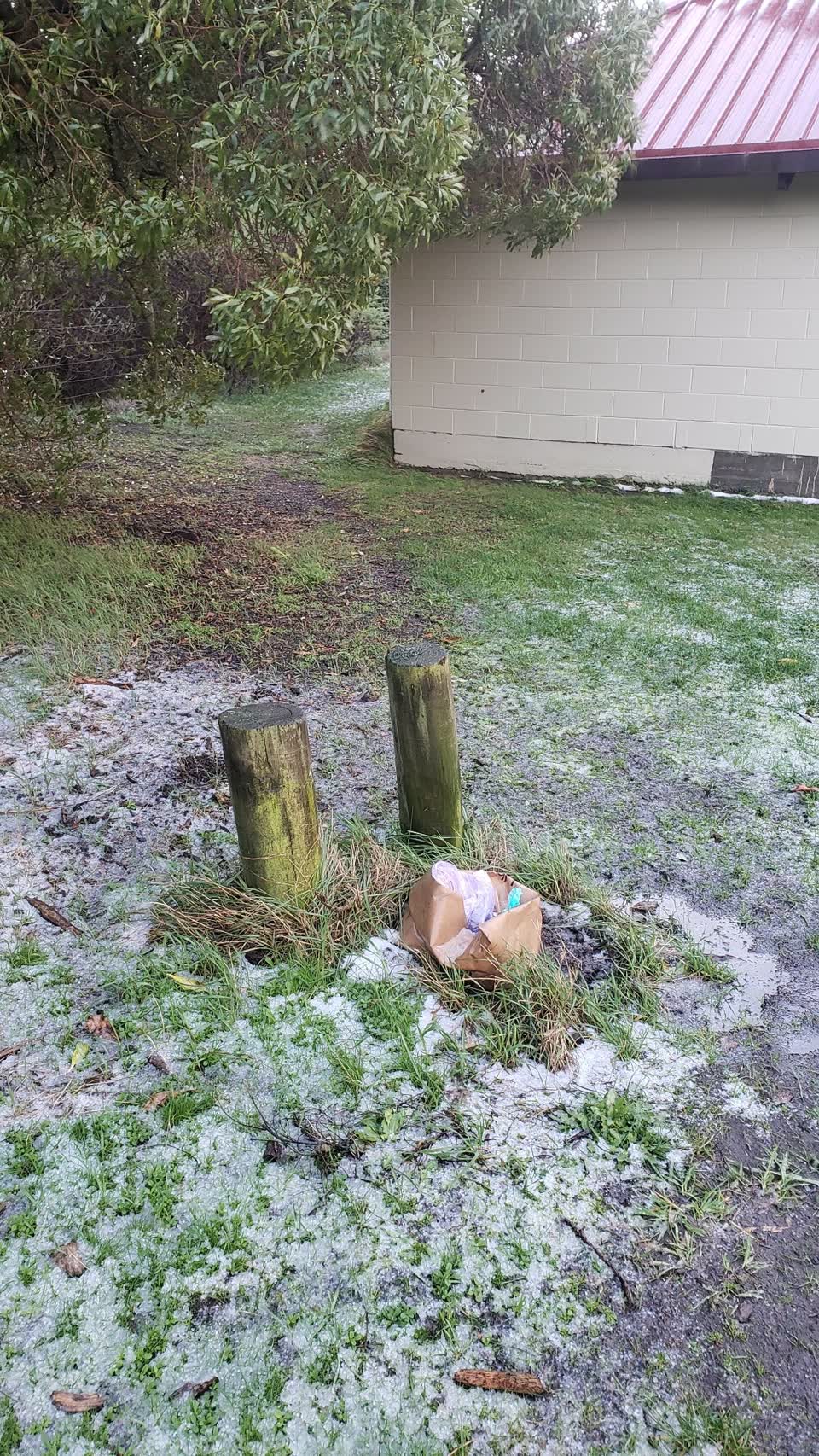The photograph attached to this parks report