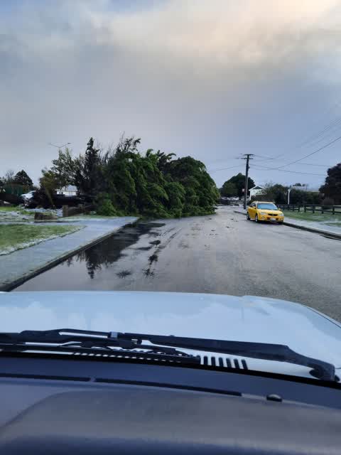 Roading/Streets, a report photo