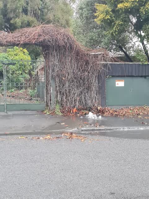 Water Leak, a report photo