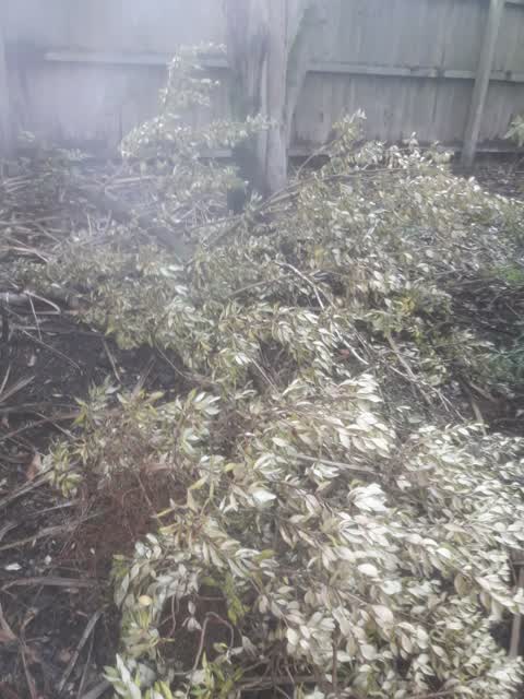 Parks, a report photo
