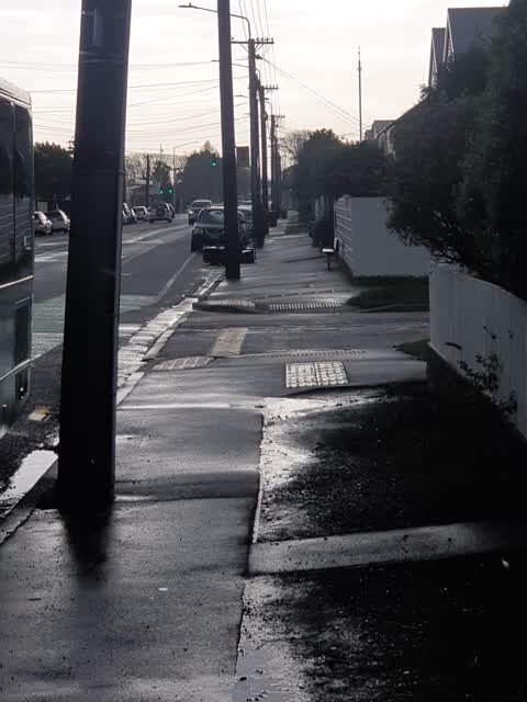 Roading/Streets, a report photo