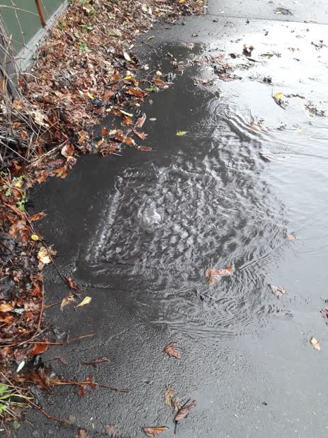 Wastewater/Stormwater, a report photo