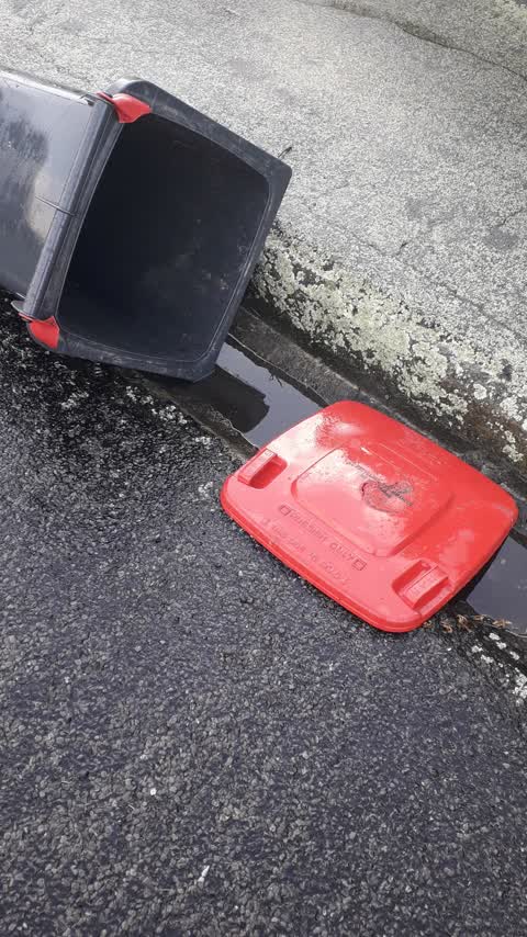 Rubbish/Recycling, a report photo