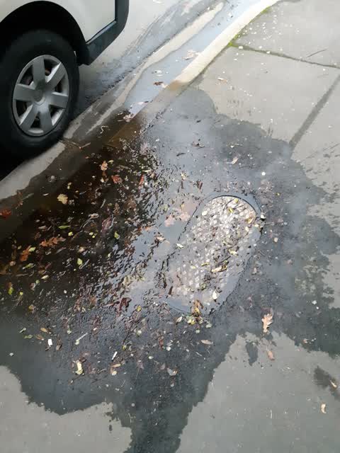 Water Leak, a report photo