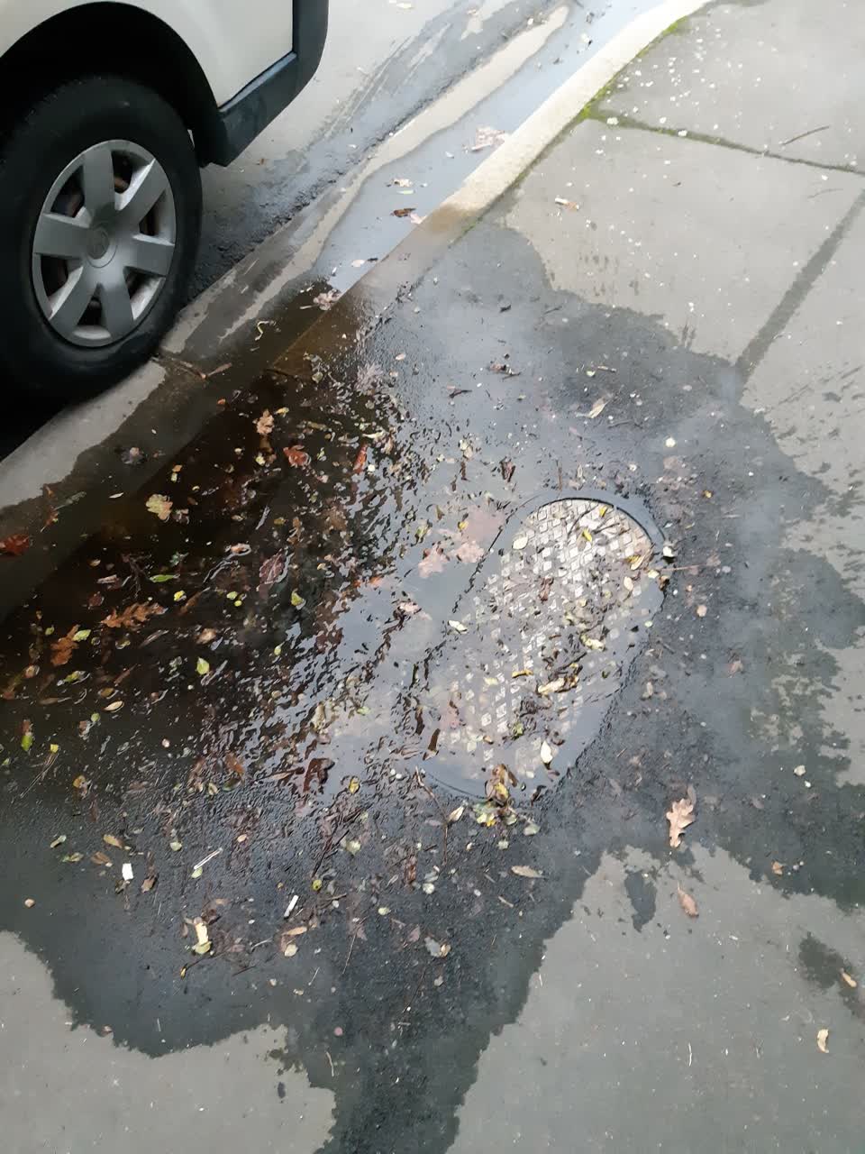 The photograph attached to this water leak report