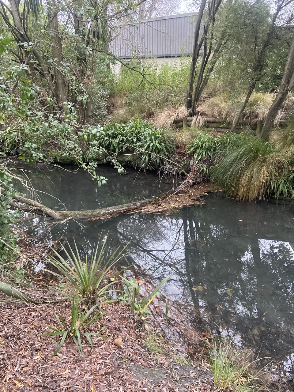 The photograph attached to this wastewater/stormwater report