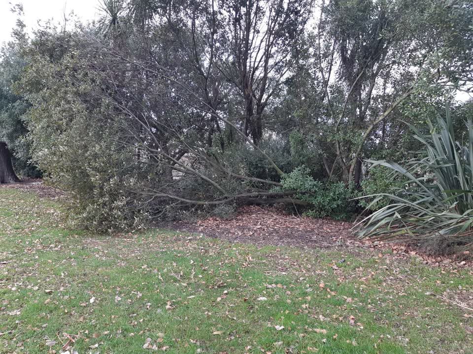 The photograph attached to this parks report
