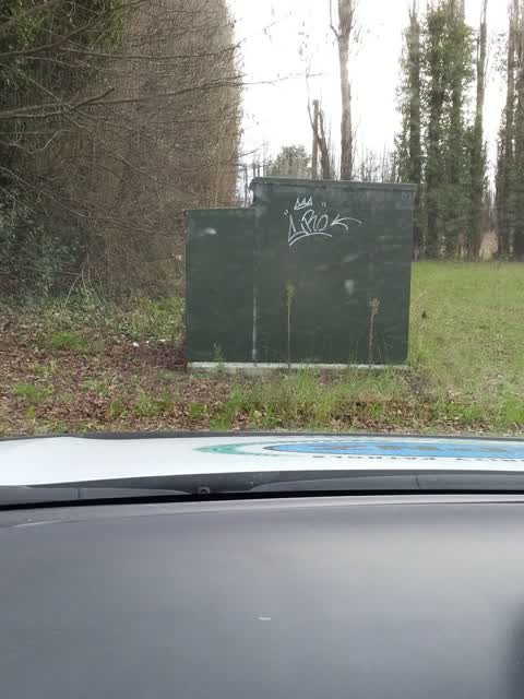 Graffiti, a report photo