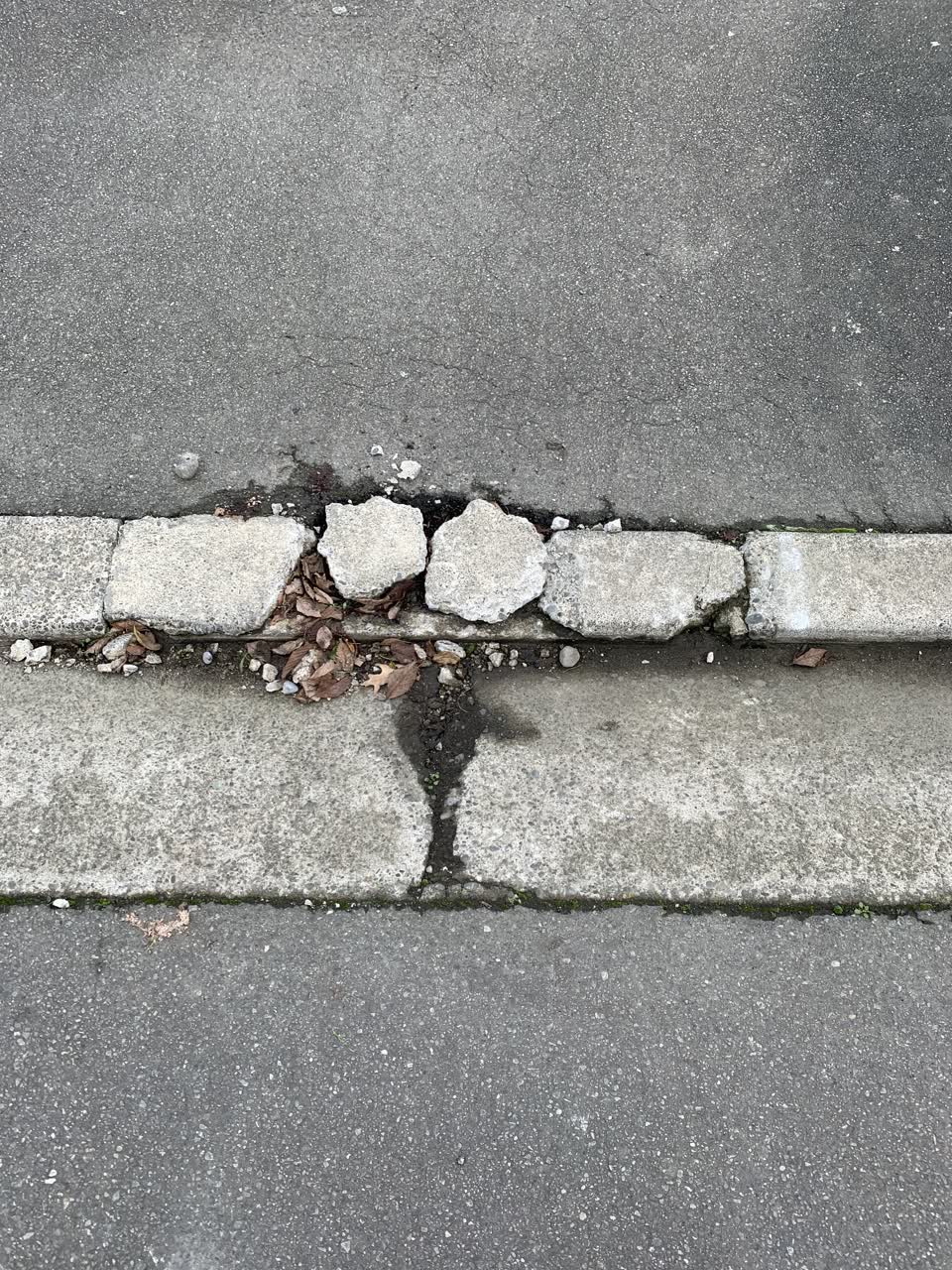 The photograph attached to this roading/streets report