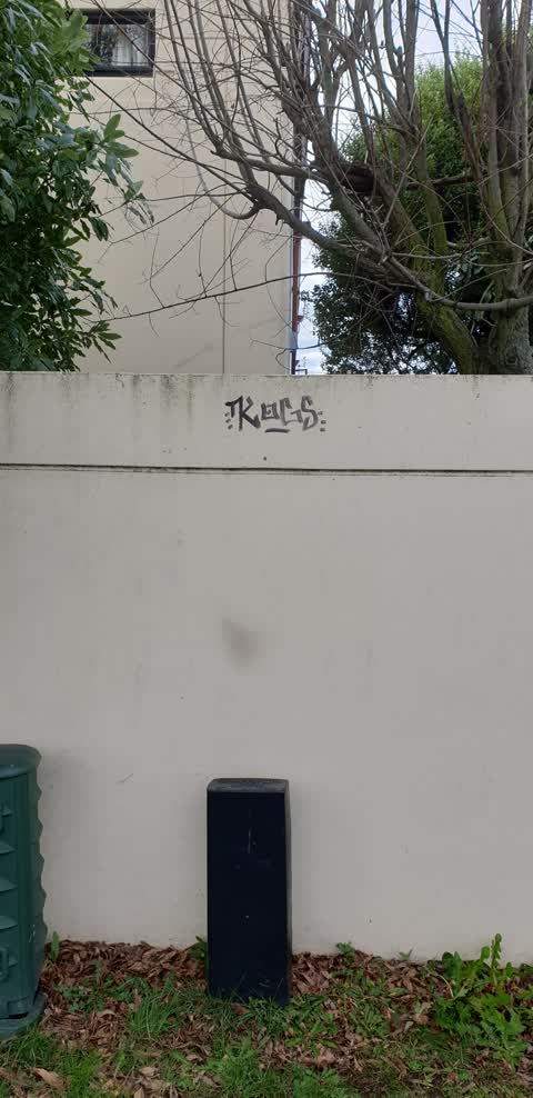 Graffiti, a report photo