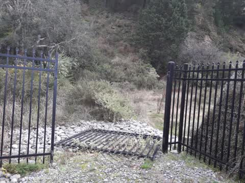 Parks, a report photo