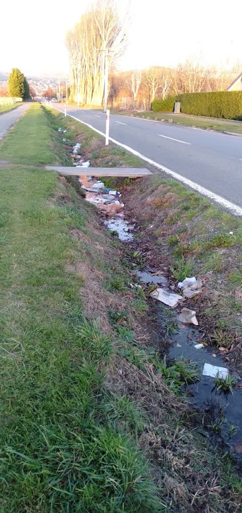 Rubbish/Recycling, a report photo
