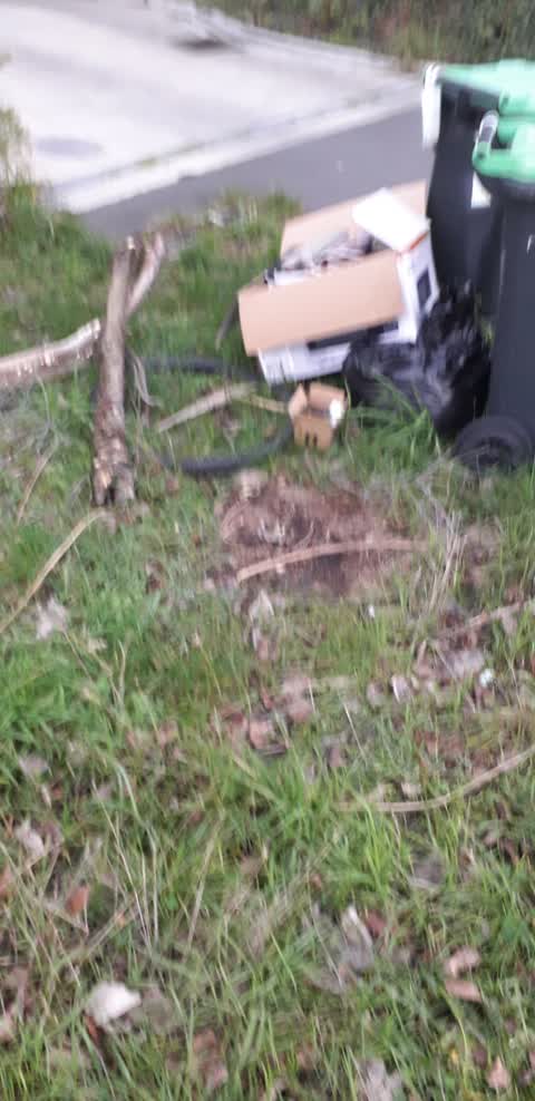 Rubbish/Recycling, a report photo