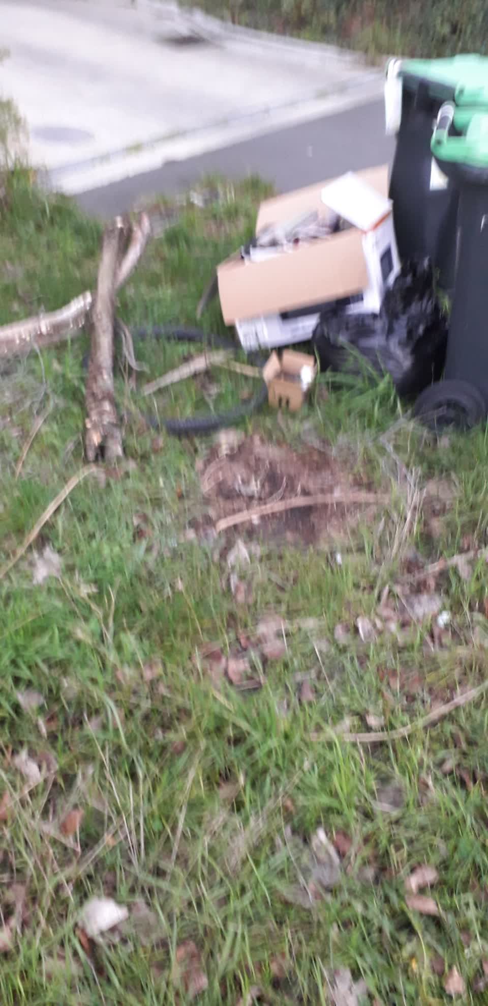 The photograph attached to this rubbish/recycling report