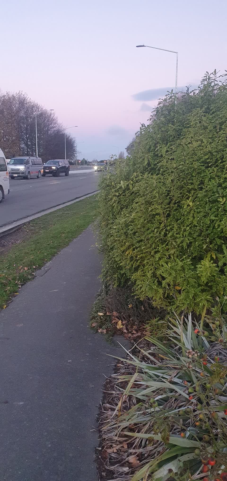 The photograph attached to this roading/streets report