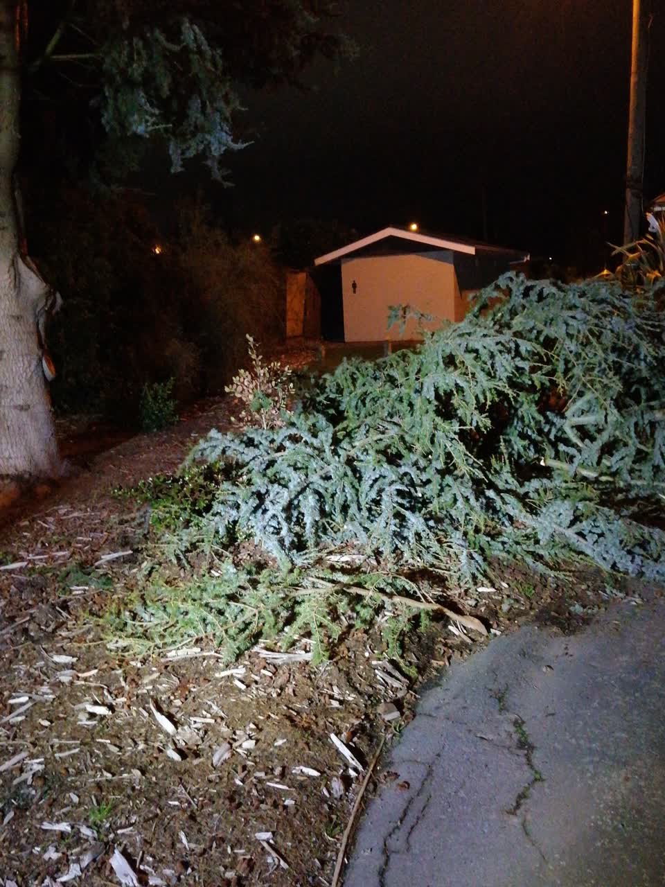 The photograph attached to this parks report