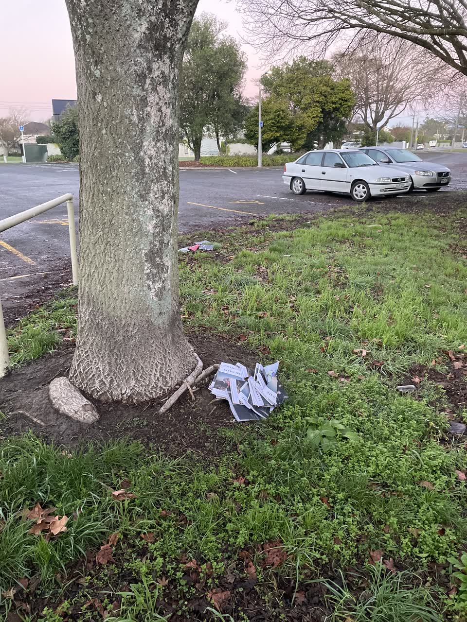 The photograph attached to this rubbish/recycling report
