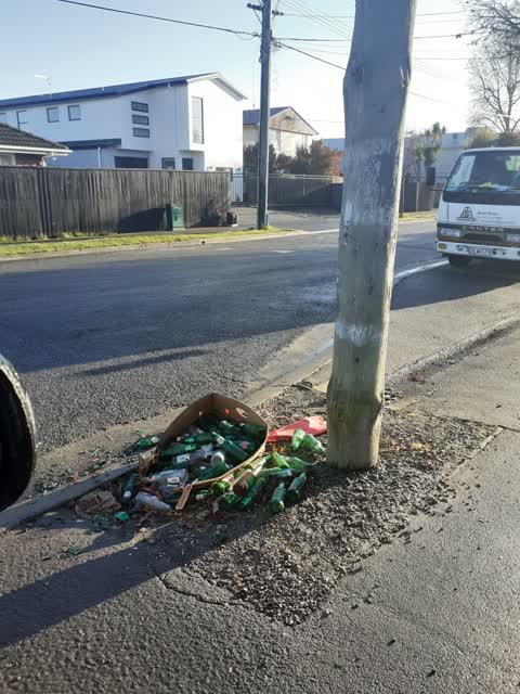 Rubbish/Recycling, a report photo