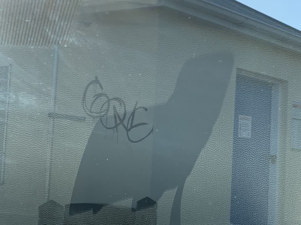 The photograph attached to this graffiti report
