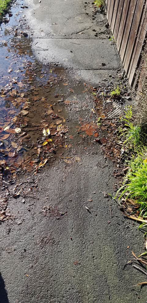 Water Leak, a report photo