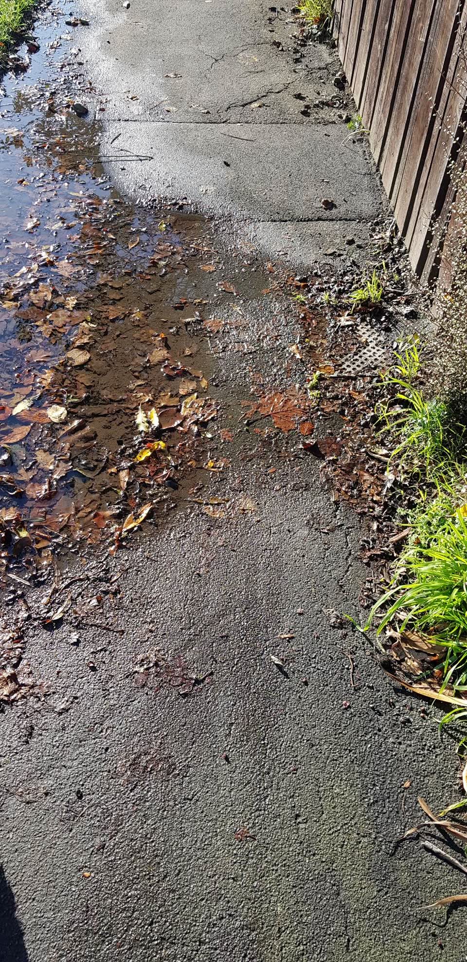 The photograph attached to this water leak report