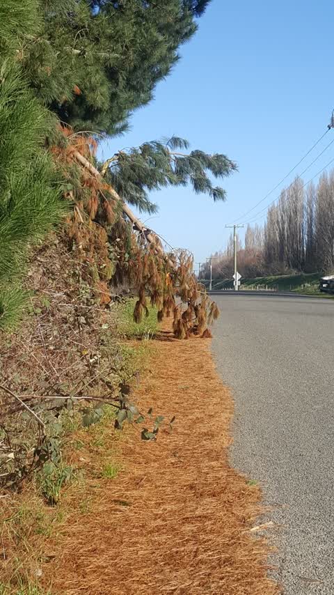 Roading/Streets, a report photo