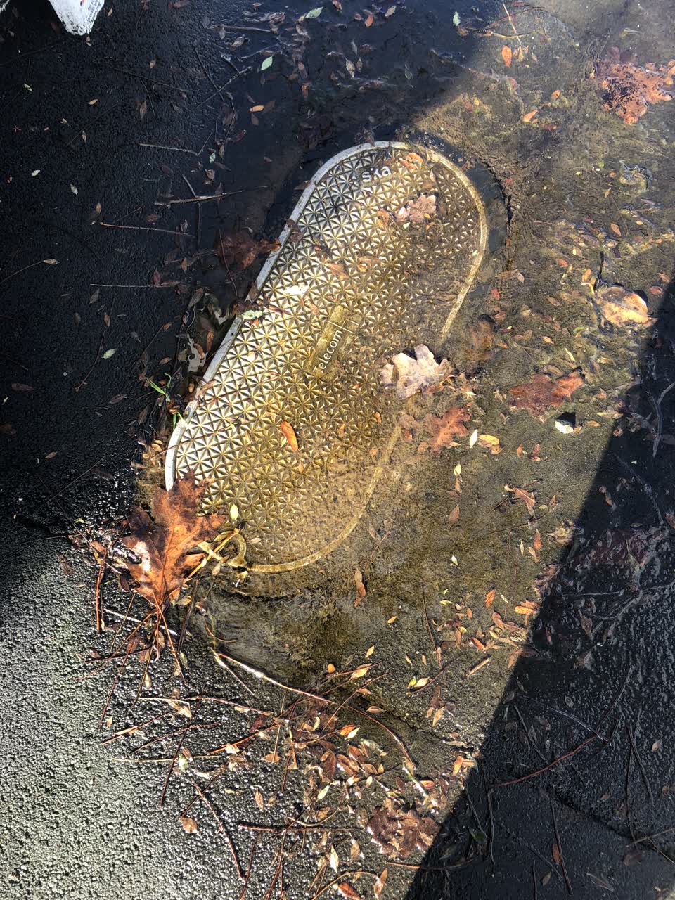 The photograph attached to this water leak report