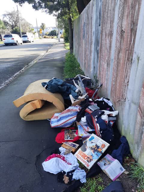 Rubbish/Recycling, a report photo