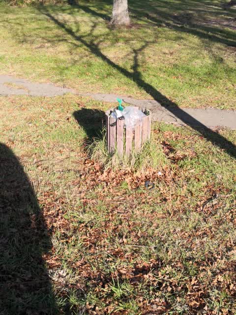 Rubbish/Recycling, a report photo