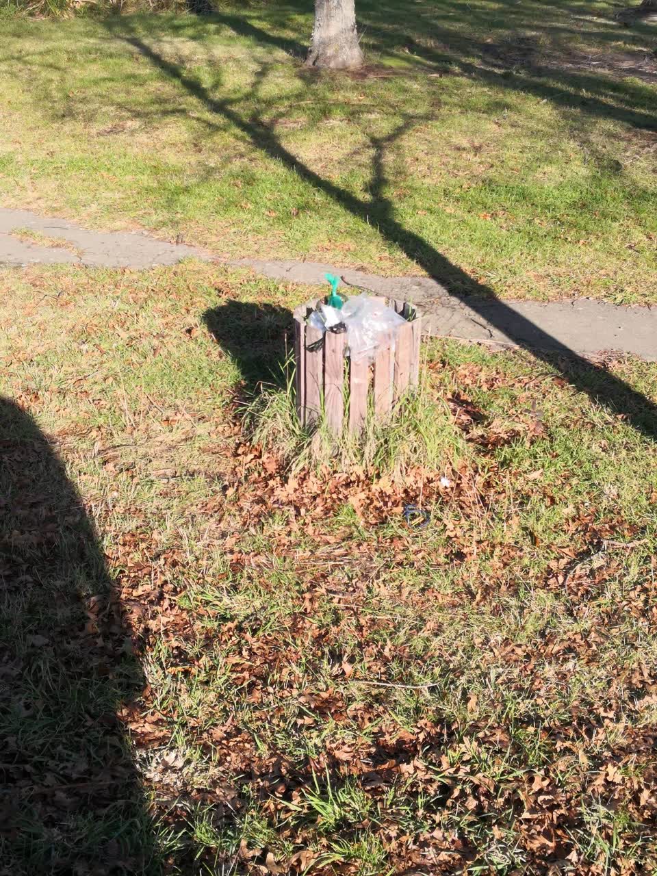 The photograph attached to this rubbish/recycling report