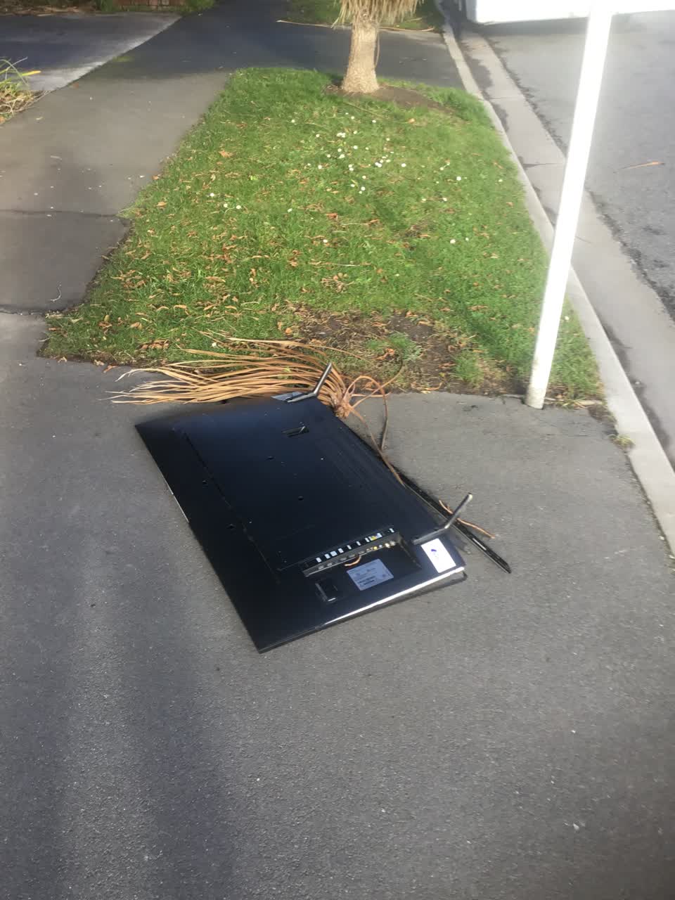 The photograph attached to this parks report