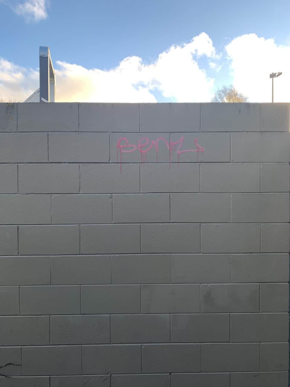The photograph attached to this graffiti report