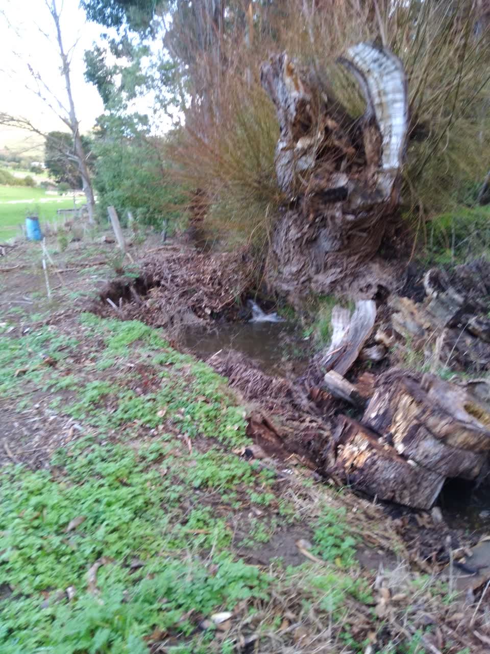 The photograph attached to this parks report
