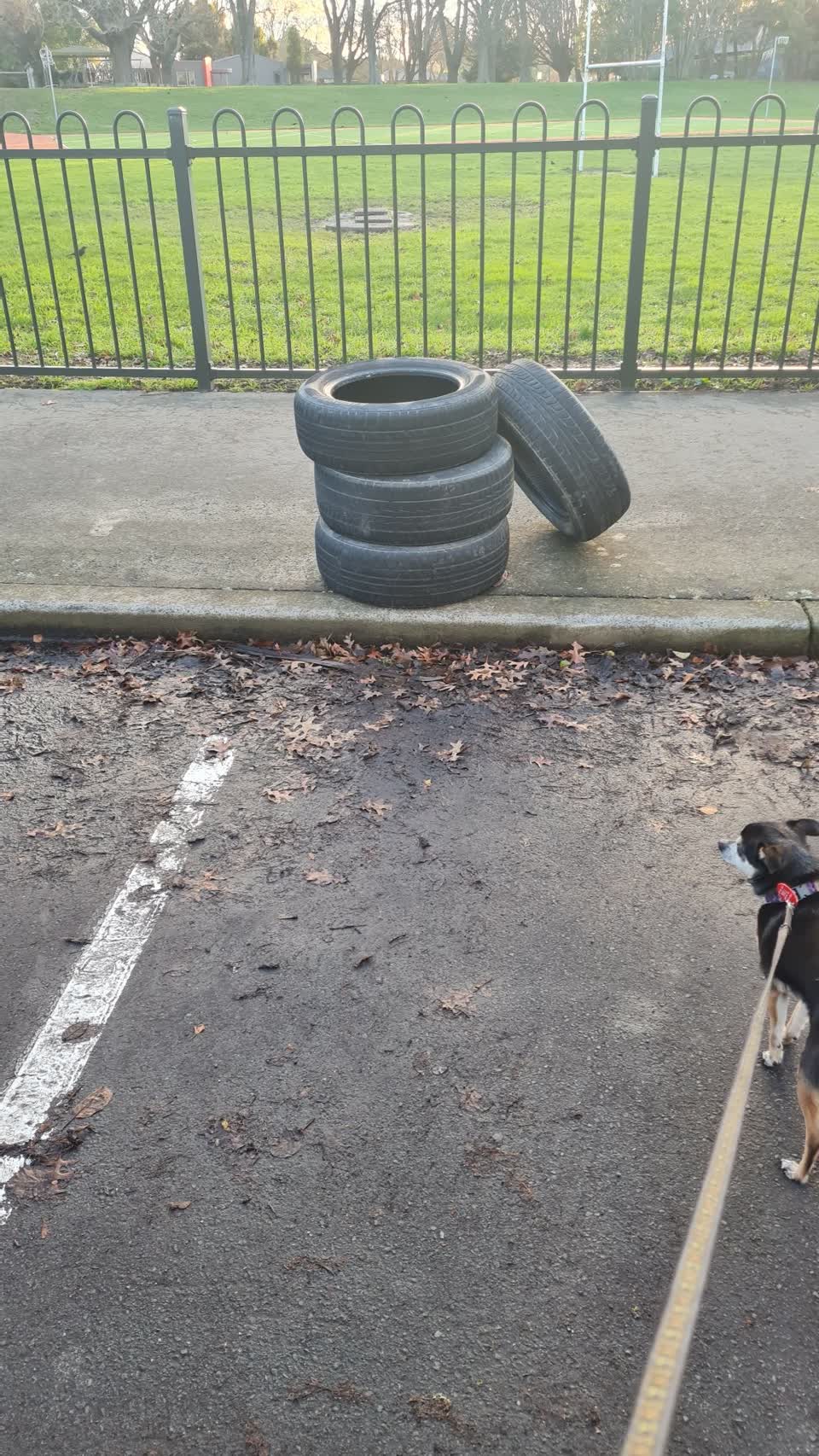 The photograph attached to this rubbish/recycling report