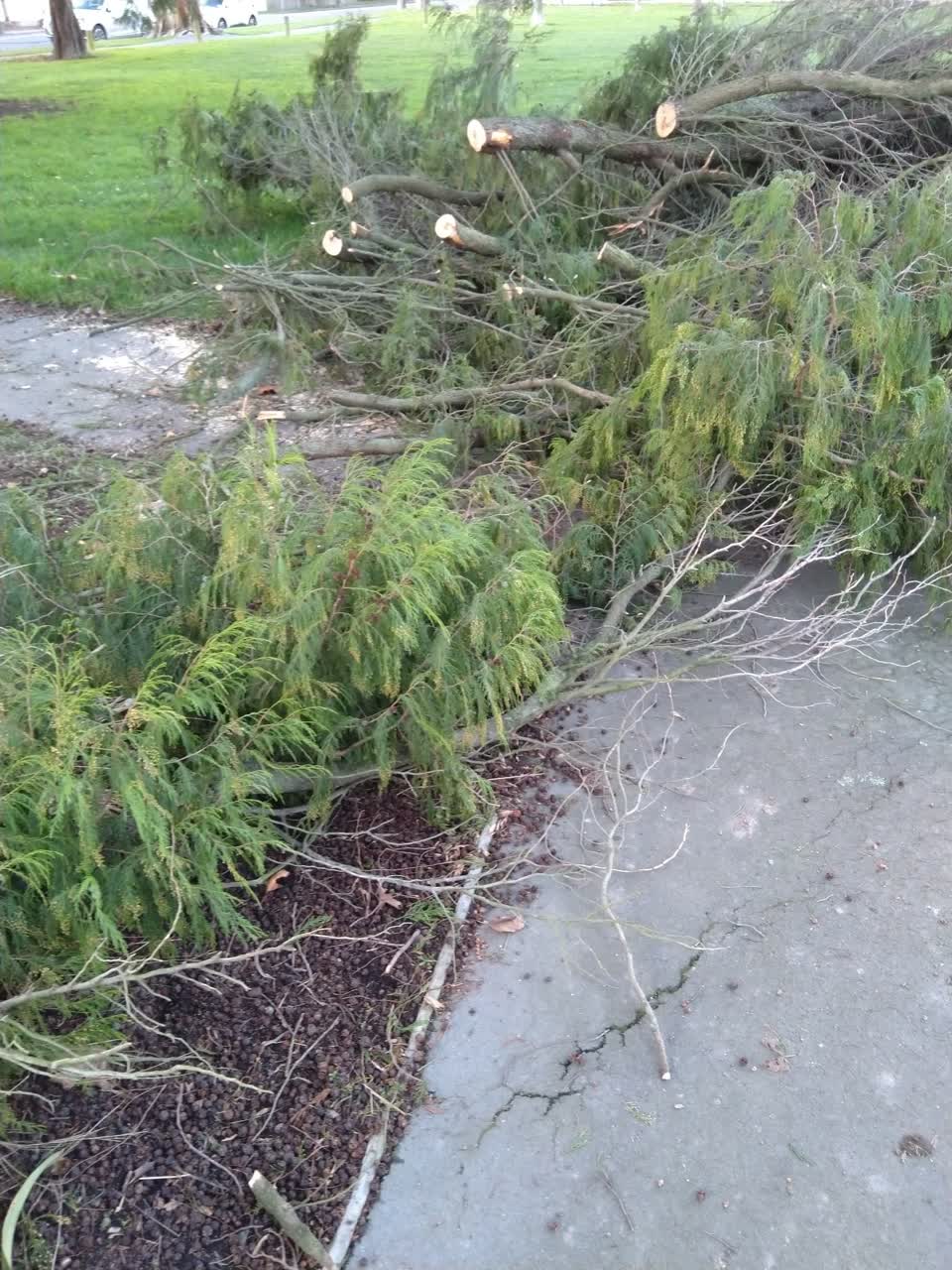 The photograph attached to this parks report