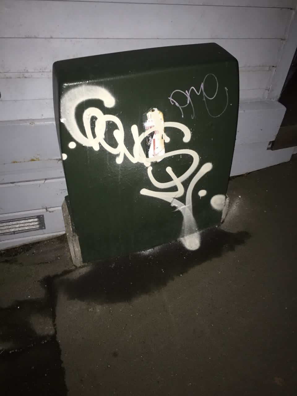 The photograph attached to this graffiti report
