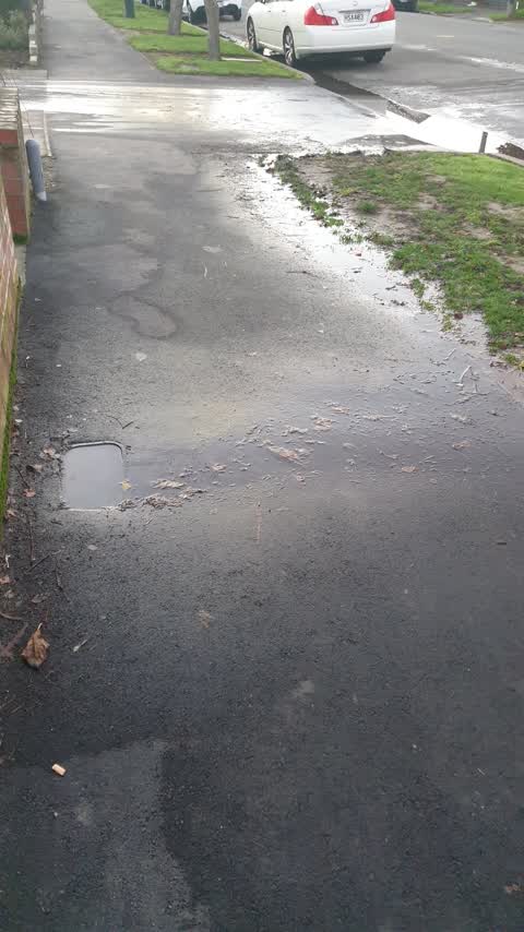 Water Leak, a report photo