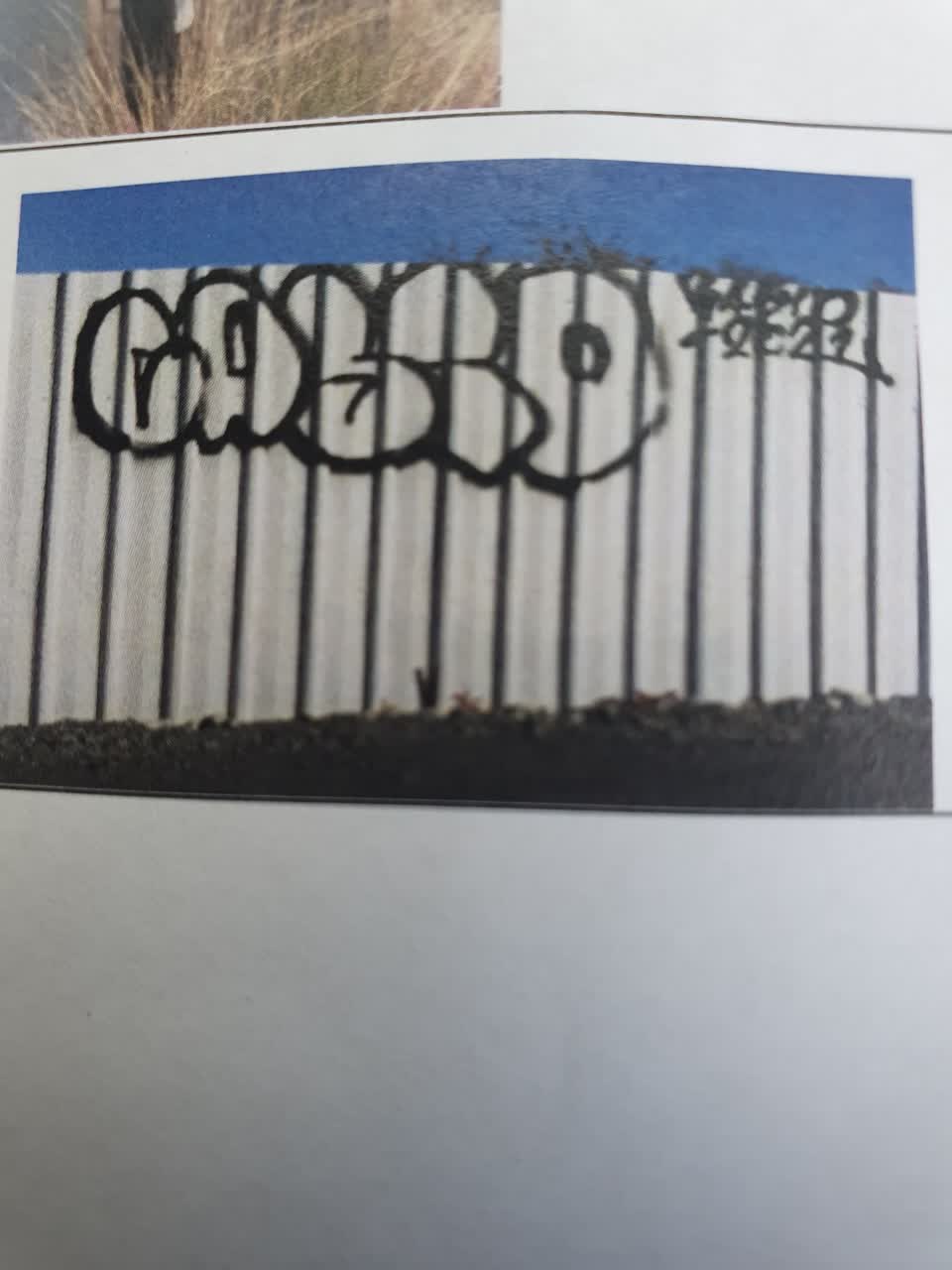 The photograph attached to this graffiti report