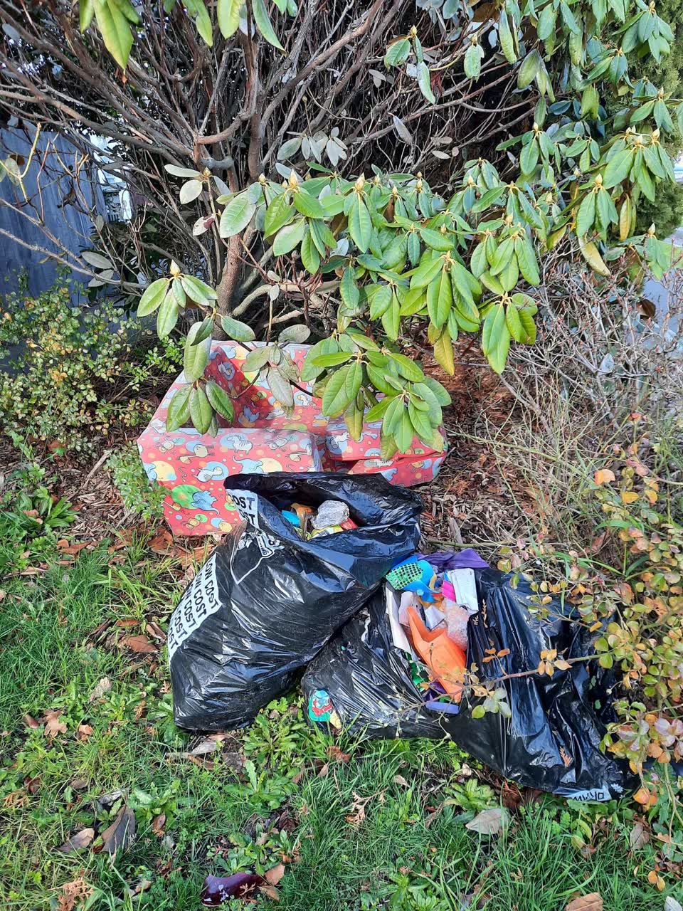 The photograph attached to this rubbish/recycling report